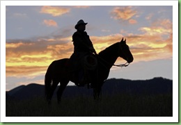 Cowboy silhouette