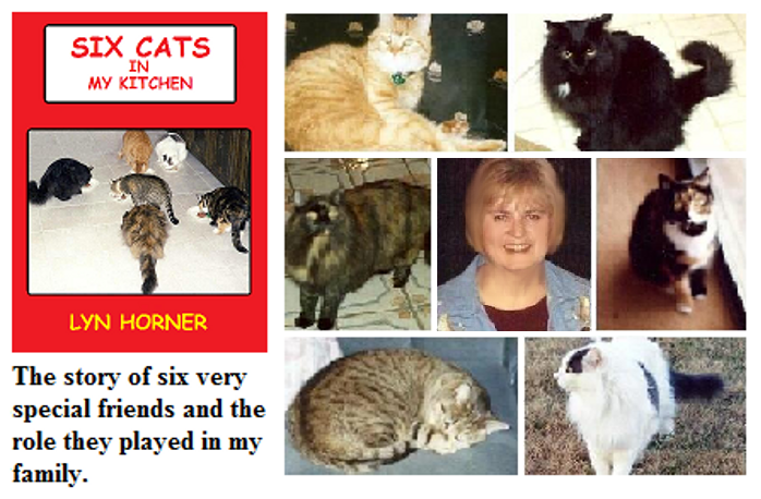 Six Cats cover & photos
