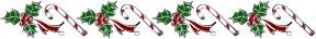 holly border