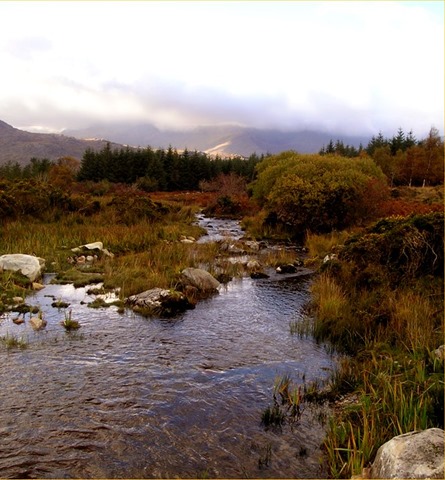 RingofKerryMountainstream