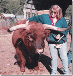 Judith with bull