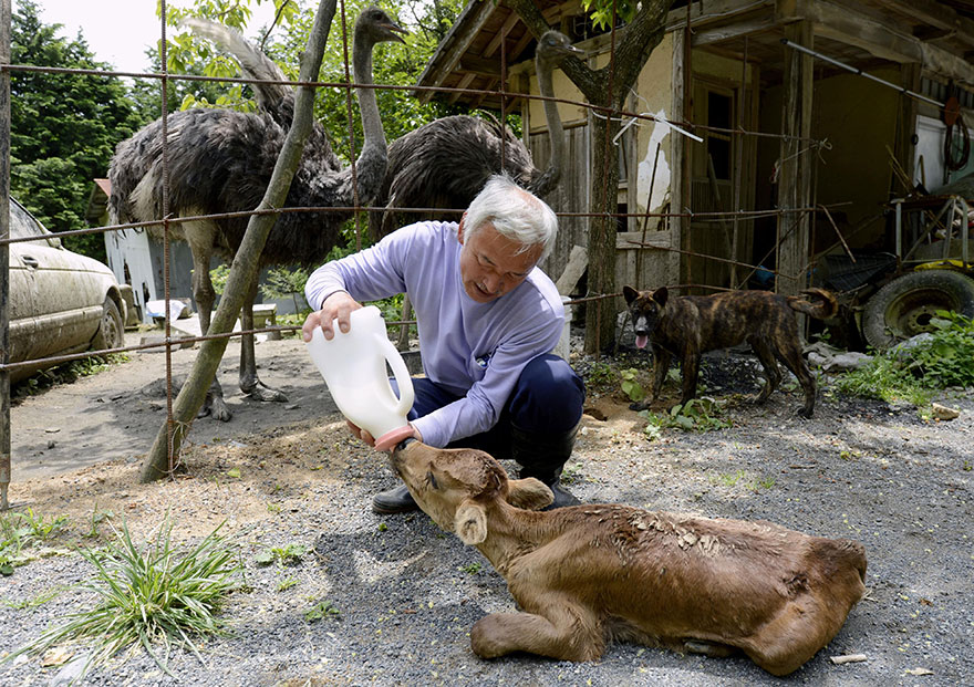 Naoto Matsumura, Guardian of Fukushima’s Animals