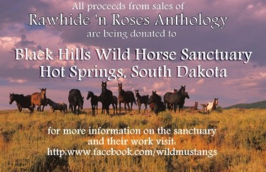 Black Hills Wild Horse Sanctuary