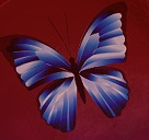 Pageflex Persona [document: PRS0000038_00074]