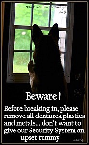 Now HERE’s a Security Sign (Meme)…